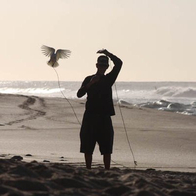 Man with bird silhouette on beach